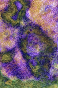 A 31C